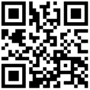 QR Code for the Govee Netflix Version Curtain Smart Light