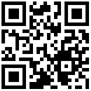 QR Code for the AMT Gastroguss Non-Stick Wok with Handles - 32cm